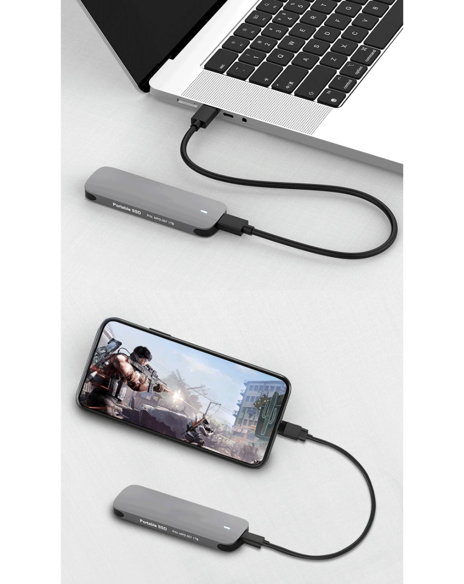 Derlar DL-240 2242 256GB Portable SSD