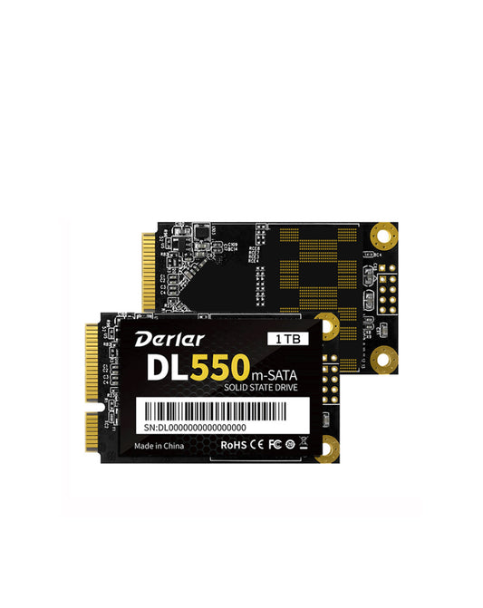 Derlar DL-550 Msata 1TB Hard Disk