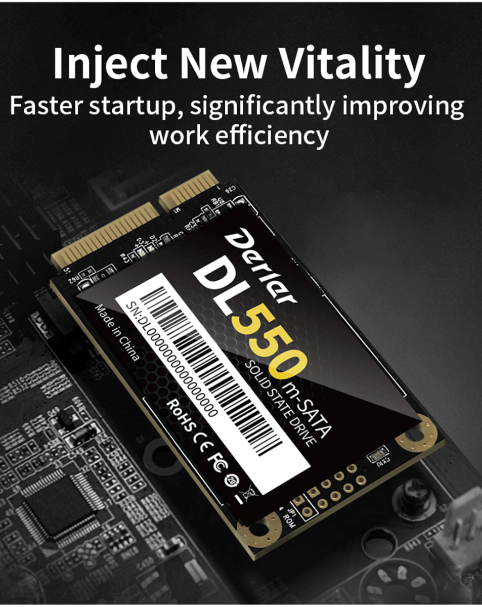 Derlar DL-550 Msata 1TB Hard Disk