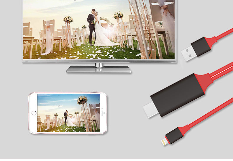 Display 2in1 Cable for HDMI & USB-A — Hdtv / Charging & Data, 3ft